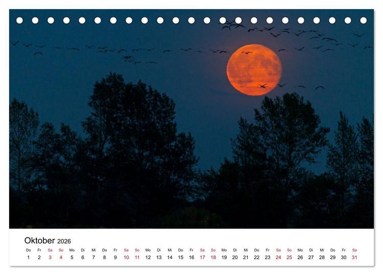 Produktbild: Zug der Kraniche (Tischkalender 2026 DIN A5 quer), CALVENDO Monatskalender