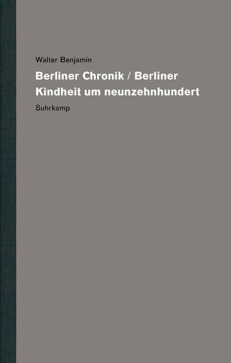 Produktbild: Werke und Nachla&szlig;. Kritische Gesamtausgabe