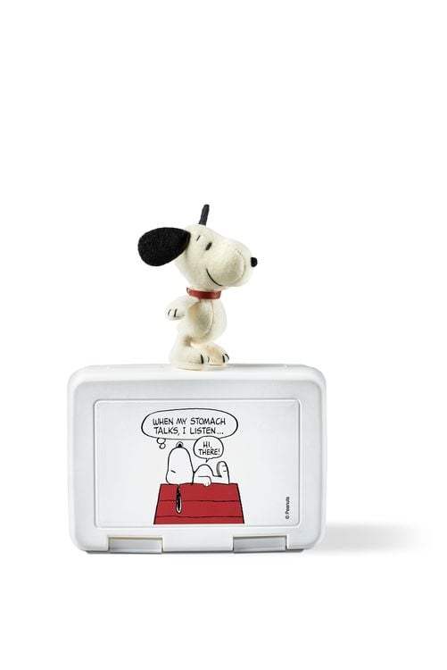 Snoopy Butterbrotdose 'Hi, There'