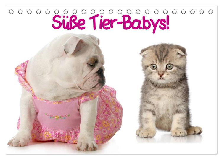 Produktbild: S&uuml;&szlig;e Tier-Babys! (Tischkalender 2026 DIN A5 quer), CALVENDO Monatskalender