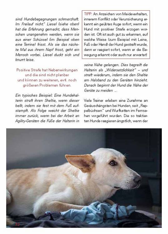 Produktbild: Grenzen setzen