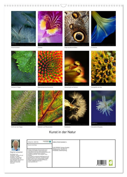 Produktbild: Kunst in der Natur (Wandkalender 2026 DIN A2 hoch), CALVENDO Monatskalender