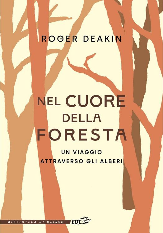 Produktbild: Nel cuore della foresta. Un viaggio attraverso gli alberi