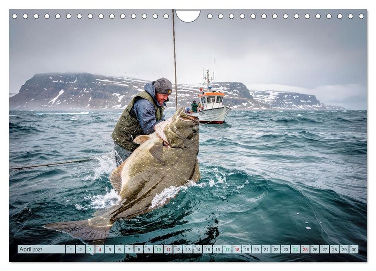 Produktbild: Heilbuttwahnsinn vor Gr&ouml;nland (Wandkalender 2027 DIN A4 quer), CALVENDO Monatskalender