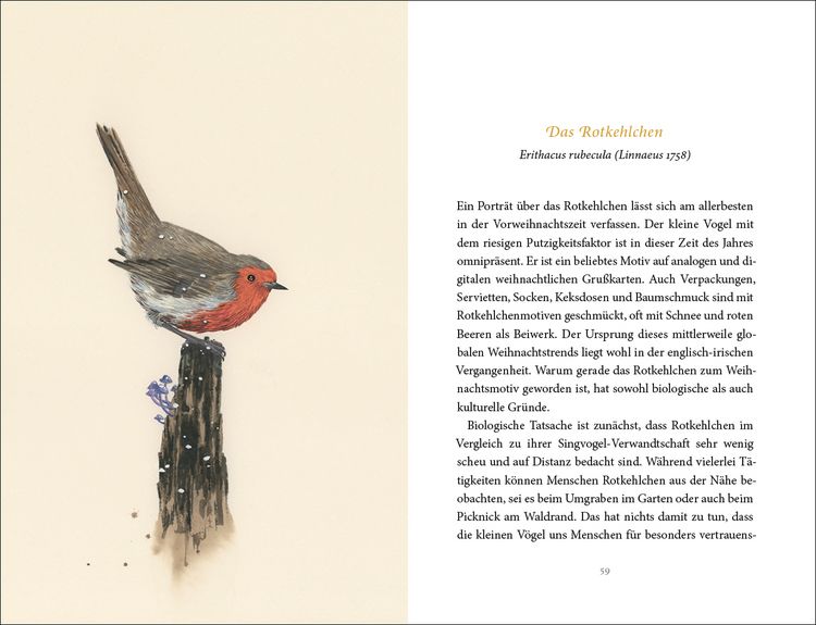 Produktbild: Vom Gl&uuml;ck des Vogelgesangs