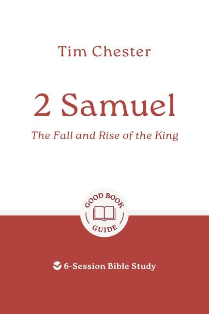 Produktbild: 2 Samuel: The Fall and Rise of the King