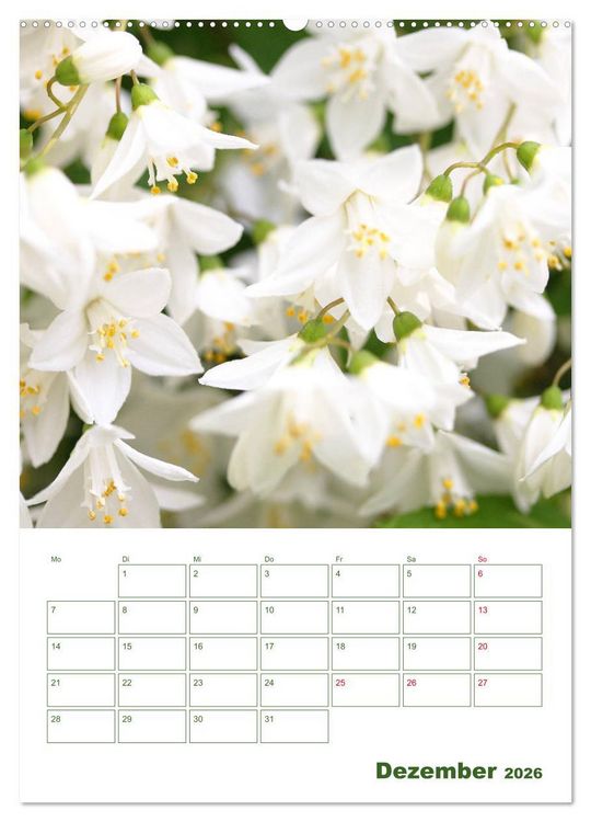 Produktbild: Wei&szlig;e Bl&uuml;ten im Gr&uuml;nen (Wandkalender 2026 DIN A2 hoch), CALVENDO Monatskalender