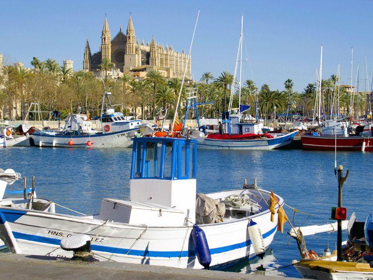 Produktbild: CALVENDO Puzzle Fischerhafen Palma mit Kathedrale | 1000 Teile Lege-Gr&ouml;&szlig;e 64x48cm Foto-Puzzle f&uuml;r gl&uuml;ckliche Stunden