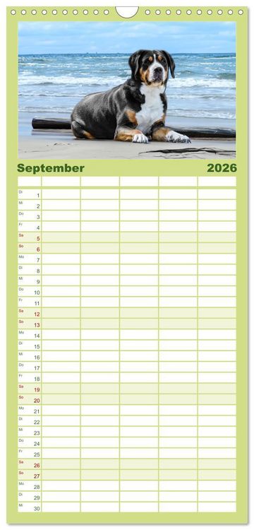 Produktbild: Familienplaner 2026 - Gro&szlig;e Schweizer - Gigantische Sennenhunde mit 5 Spalten (Wandkalender, 21 x 45 cm) CALVENDO