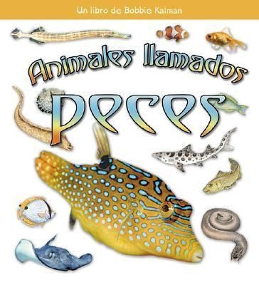 Produktbild: Animales Llamados Peces (Animals Called Fish)