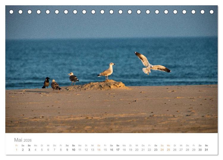 Produktbild: Traumziel D&auml;nemark (Tischkalender 2026 DIN A5 quer), CALVENDO Monatskalender