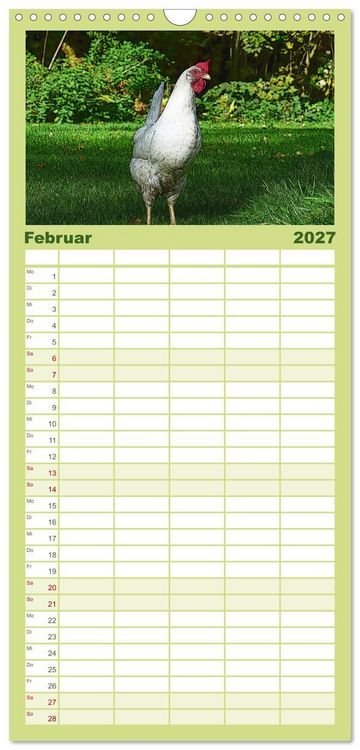 Produktbild: Familienplaner 2027 - Die H&uuml;hner sind los! mit 5 Spalten (Wandkalender, 21 x 45 cm) CALVENDO