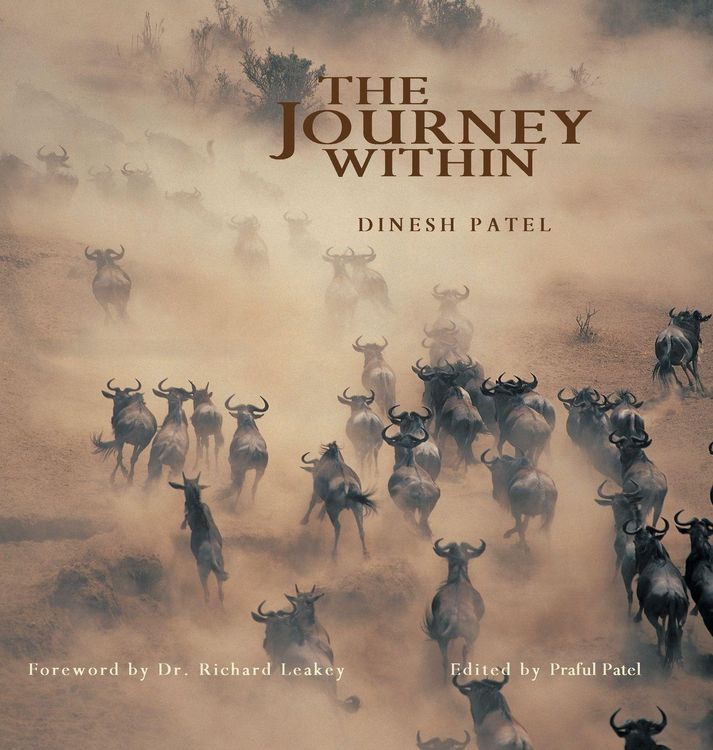 Produktbild: The Journey Within