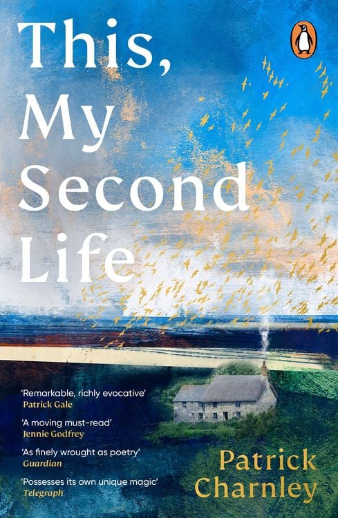 Produktbild: This, My Second Life