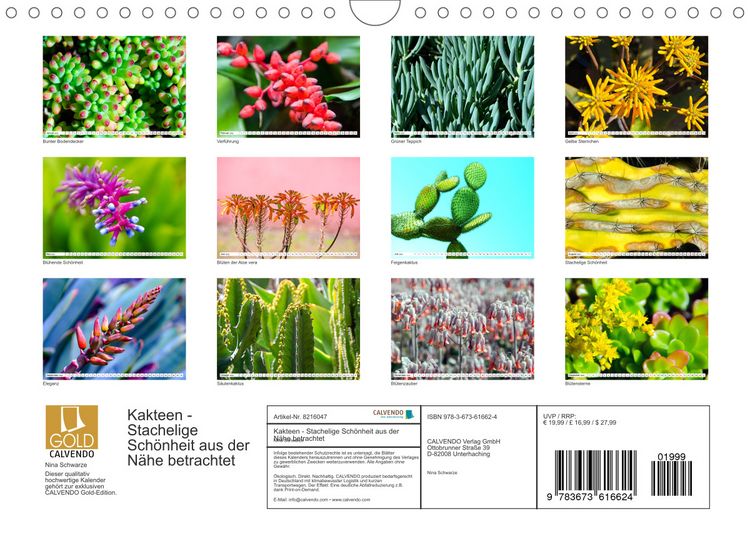 Produktbild: Kakteen - Stachelige Sch&ouml;nheit aus der N&auml;he betrachtet (Wandkalender 2022 DIN A4 quer)