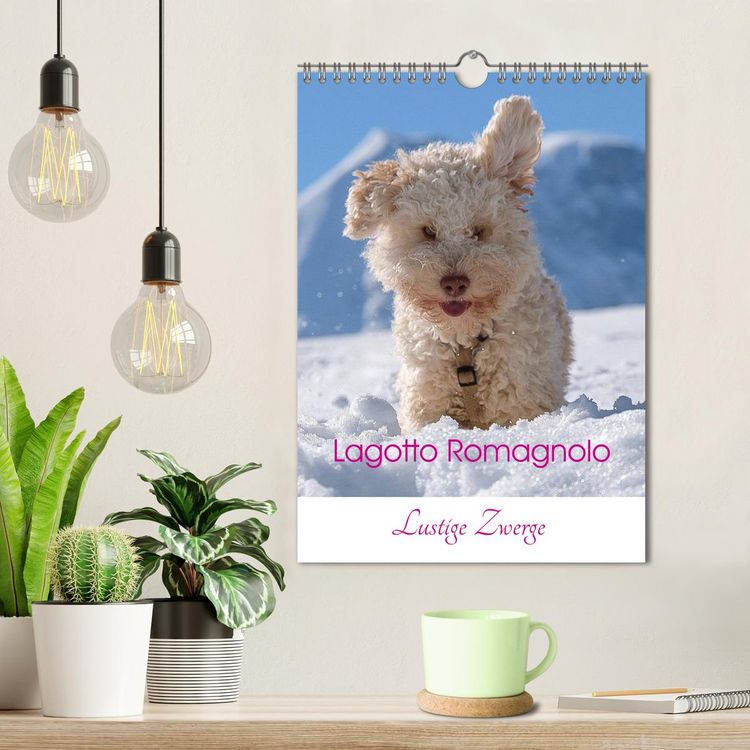Produktbild: Lagotto Romagnolo - Lustige Zwerge (Wandkalender 2026 DIN A4 hoch), CALVENDO Monatskalender