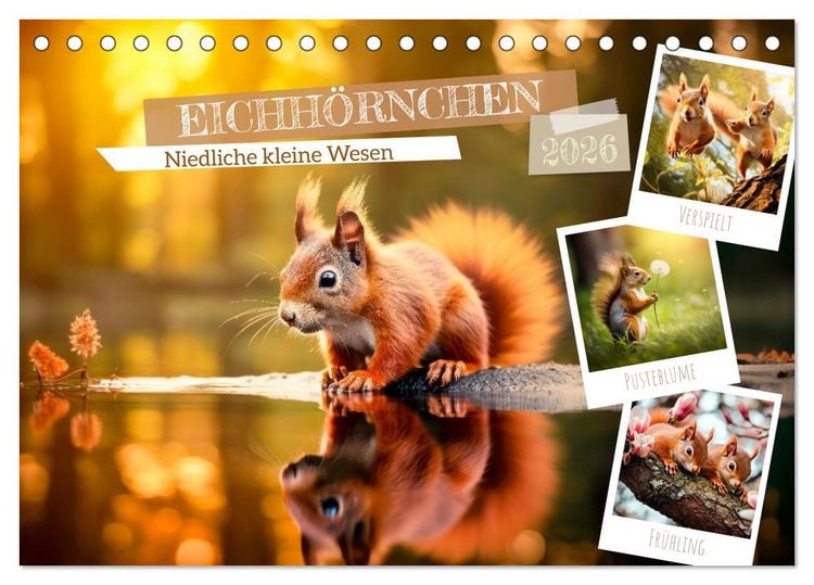 Produktbild: EICHH&Ouml;RNCHEN Niedliche kleine Wesen (Tischkalender 2026 DIN A5 quer), CALVENDO Monatskalender