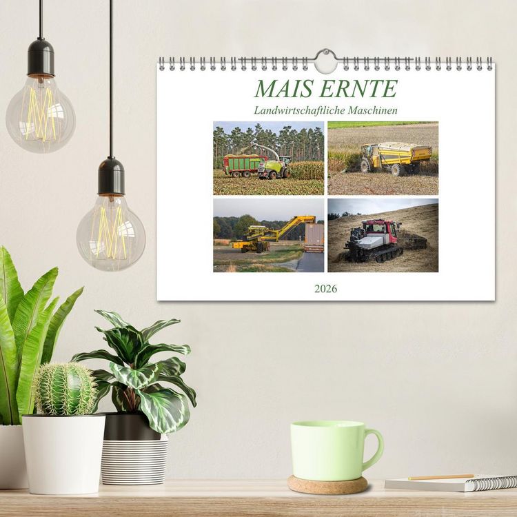 Produktbild: MAIS ERNTE (Wandkalender 2026 DIN A4 quer), CALVENDO Monatskalender