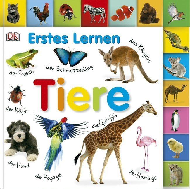 Produktbild: Erstes Lernen. Tiere