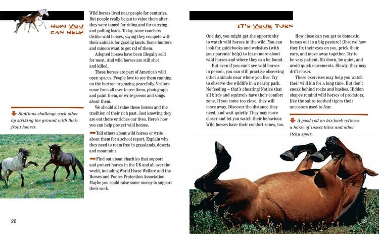 Produktbild: Nat Geo Reader Wild Horses