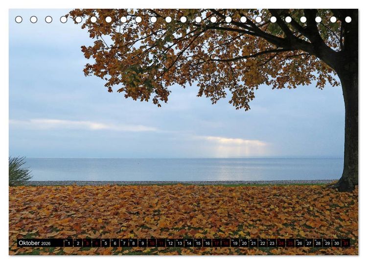 Produktbild: Sehenswerter Bodensee (Tischkalender 2026 DIN A5 quer), CALVENDO Monatskalender