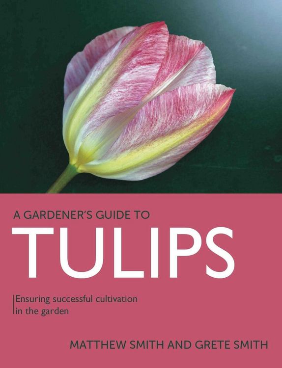 Produktbild: Tulips