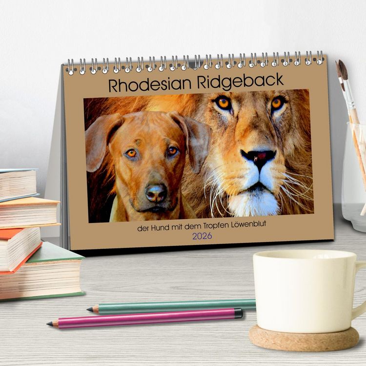 Produktbild: Rhodesian Ridgeback der Hund mit dem Tropfen L&ouml;wenblut (Tischkalender 2026 DIN A5 quer), CALVENDO Monatskalender