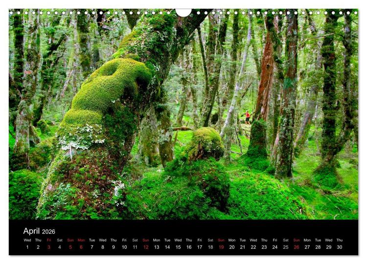 Produktbild: New Zealand (Wall Calendar 2026 DIN A3 landscape), CALVENDO 12 Month Wall Calendar