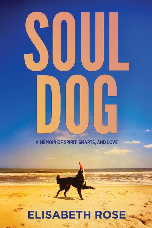 Produktbild: Soul Dog