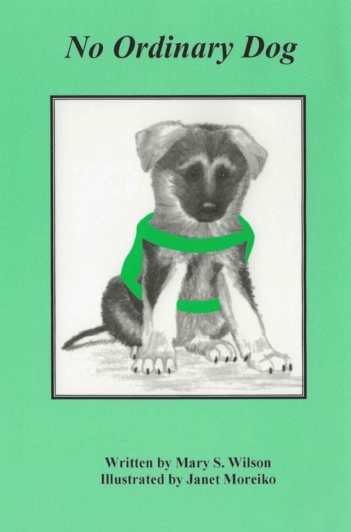 Produktbild: No Ordinary Dog