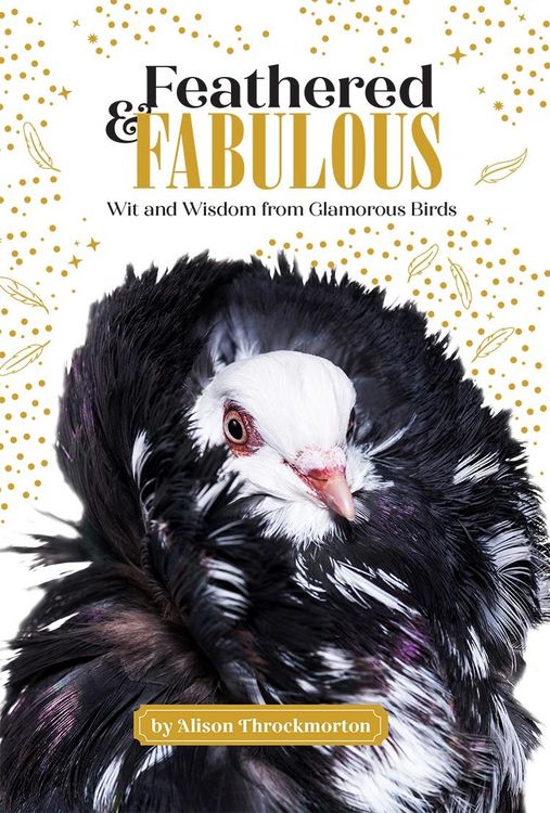 Produktbild: Feathered & Fabulous