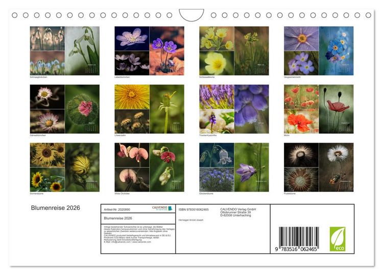 Produktbild: Blumenreise 2026 (Wandkalender 2026 DIN A4 quer), CALVENDO Monatskalender