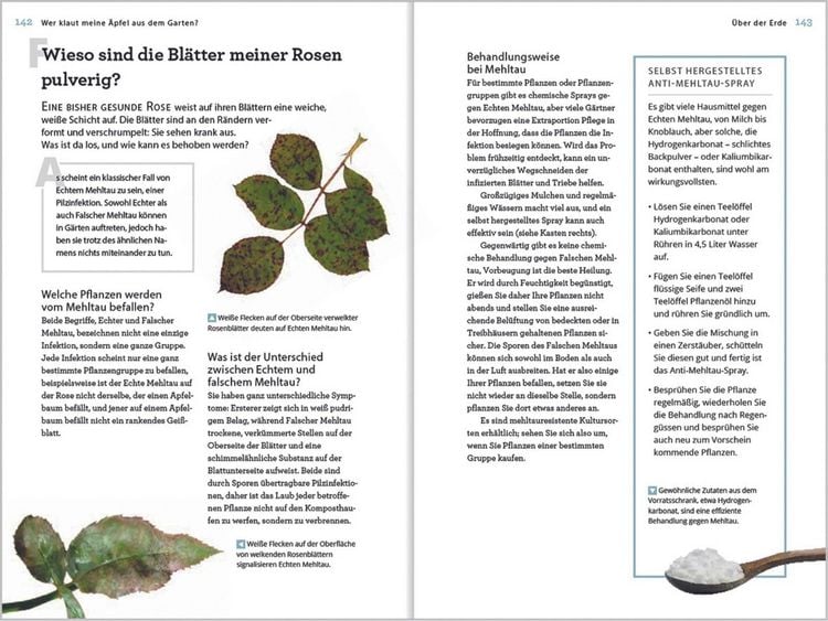 Produktbild: Wer klaut meine &Auml;pfel aus dem Garten