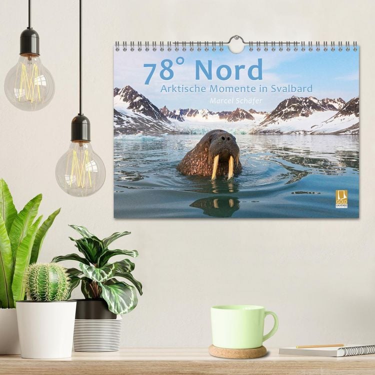 Produktbild: 78&deg; Nord - Arktische Momente in Svalbard (Wandkalender 2026 DIN A4 quer), CALVENDO Monatskalender