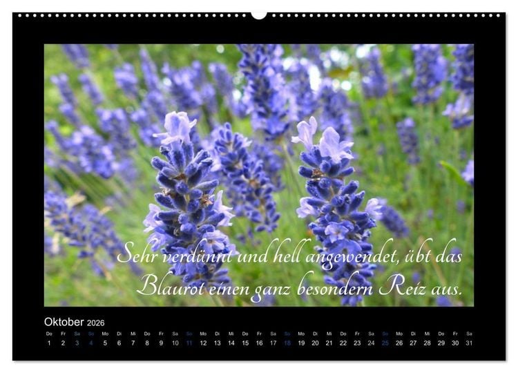 Produktbild: Goethes Blau. Gedanken zur Farbe (Wandkalender 2026 DIN A2 quer), CALVENDO Monatskalender