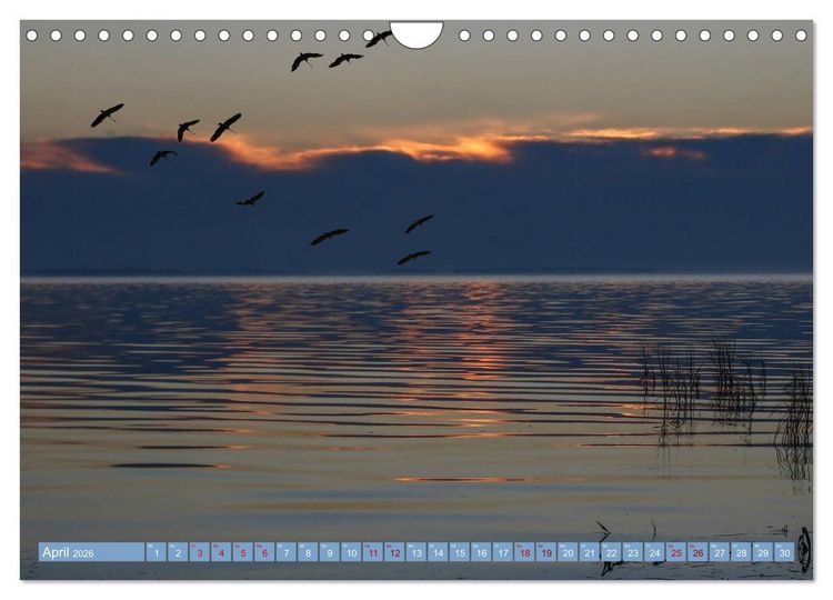 Produktbild: Stralsund und die Boddenlandschaft (Wandkalender 2026 DIN A4 quer), CALVENDO Monatskalender