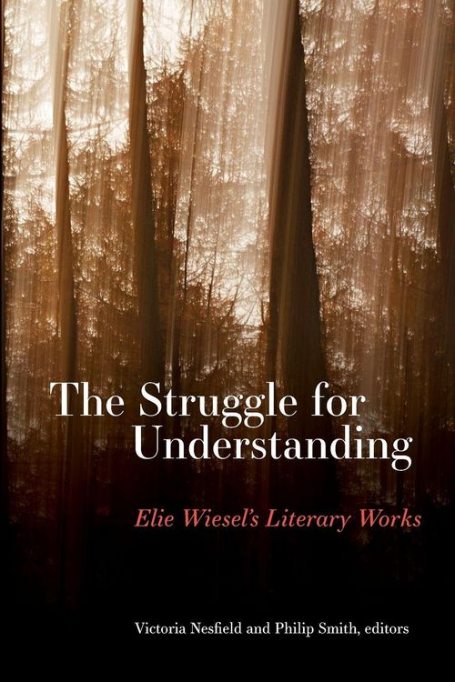 Produktbild: The Struggle for Understanding