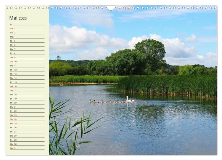 Produktbild: L&auml;ndliche Idylle zwischen Erzgebirge und Muldental (Wandkalender 2026 DIN A3 quer), CALVENDO Monatskalender