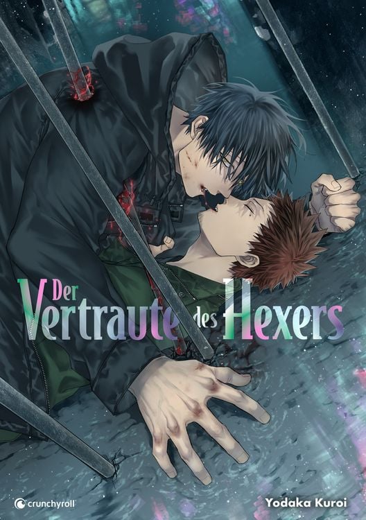 Produktbild: Der Vertraute des Hexers