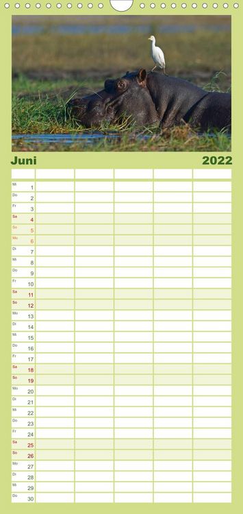 Produktbild: Flusspferde Magie des Augenblicks - Hippos in Afrika - Familienplaner hoch (Wandkalender 2022 , 21 cm x 45 cm, hoch)