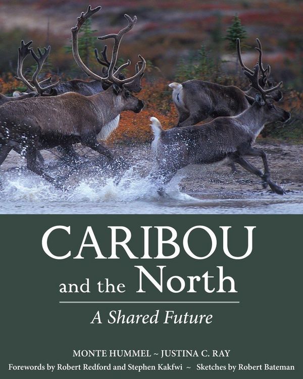Produktbild: Caribou and the North