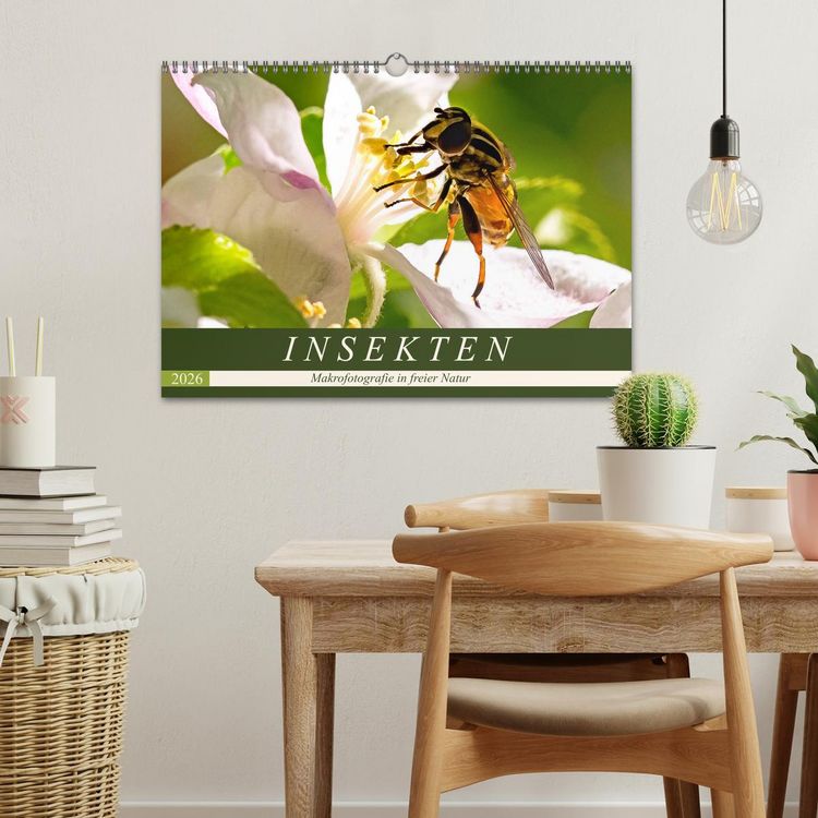 Produktbild: INSEKTEN - Makrofotografie in freier Natur (Wandkalender 2026 DIN A3 quer), CALVENDO Monatskalender