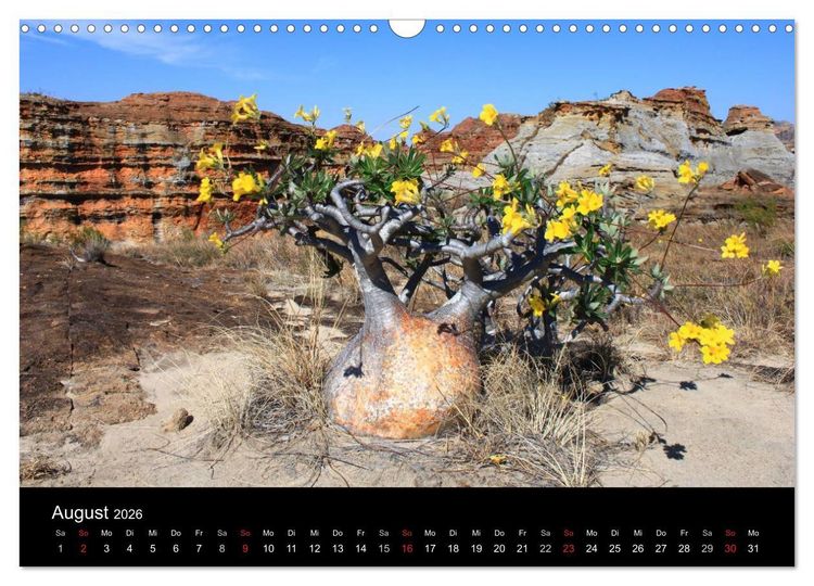 Produktbild: Abenteuer Madagaskar (Wandkalender 2026 DIN A3 quer), CALVENDO Monatskalender