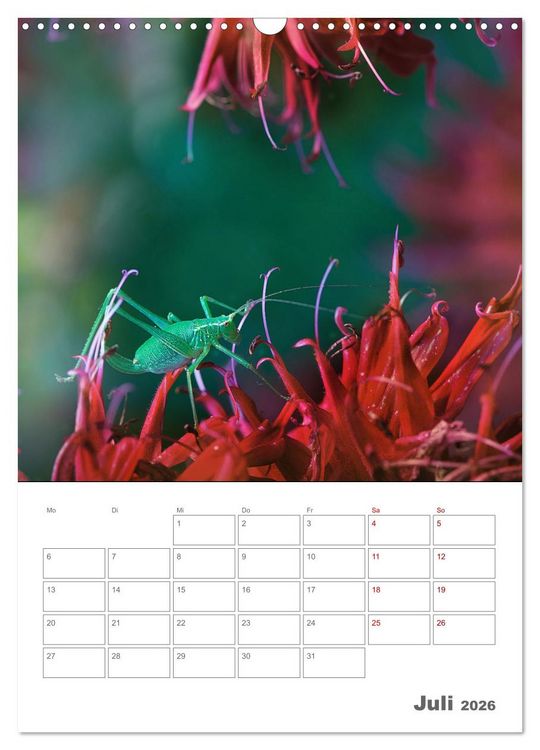 Produktbild: Helden in der Natur (Wandkalender 2026 DIN A3 hoch), CALVENDO Monatskalender