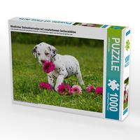 Produktbild: CALVENDO Puzzle Niedlicher Dalmatinerwelpe mit rosafarbenen Gerberabl&uuml;ten | 1000 Teile Lege-Gr&ouml;&szlig;e 64x48cm Foto-Puzzle f&uuml;r gl&uuml;ckliche Stunden