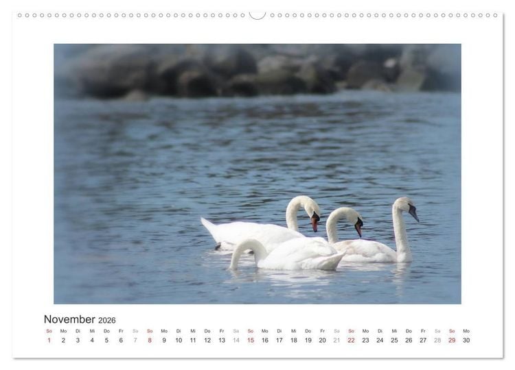 Produktbild: Sonneninsel Bornholm (hochwertiger Premium Wandkalender 2026 DIN A2 quer), Kunstdruck in Hochglanz