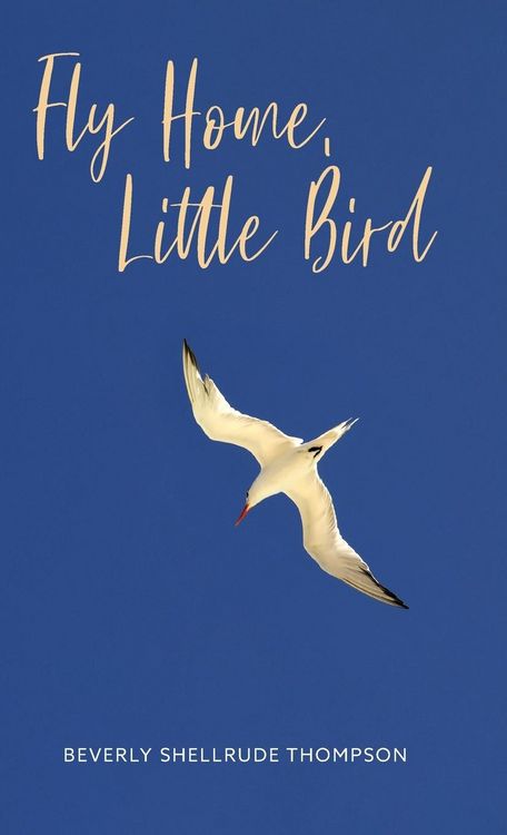 Produktbild: Fly Home, Little Bird