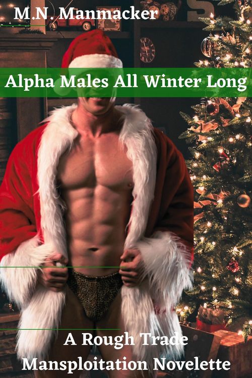 Produktbild: Alpha Males All Winter Long: A Rough Trade Mansploitation Novelette