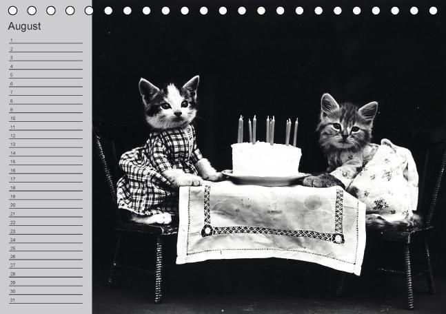 Produktbild: Katzen und Hunde - Nostalgie auf Pfoten (Tischkalender immerw&auml;hrend DIN A5 quer)
