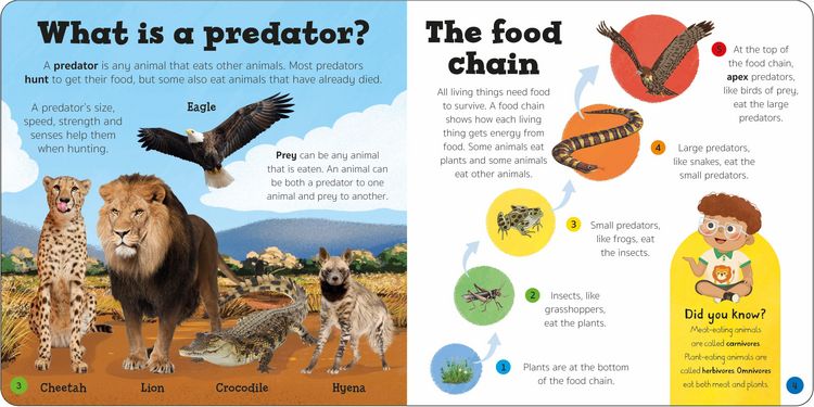 Produktbild: Priddy Explorers Predators